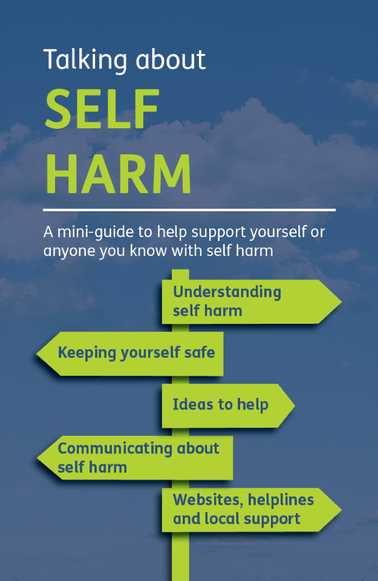 e-wellbeing 'Let's Talk About Self-Harm' guide